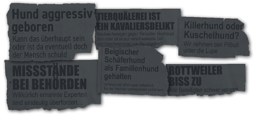 teufels-hunde-hero-zeitungsartikel-1