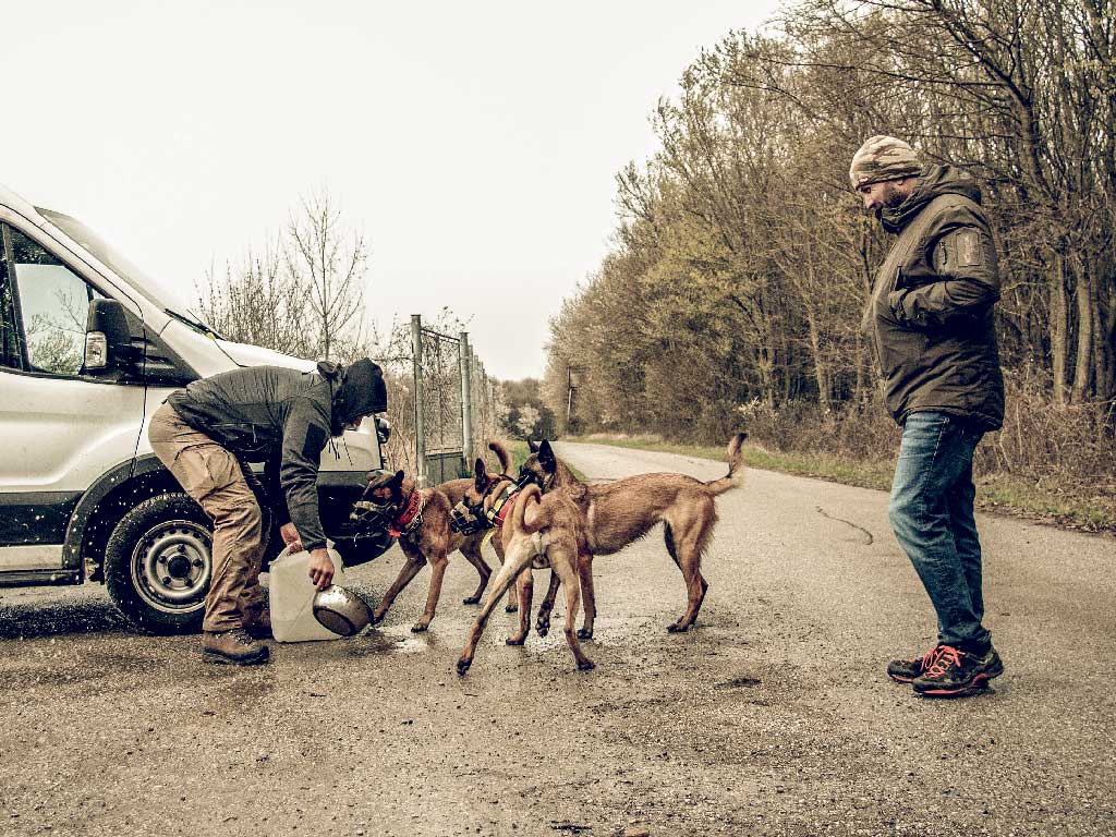 hunderudel-rehabilitation-training-teufels-hunde-2