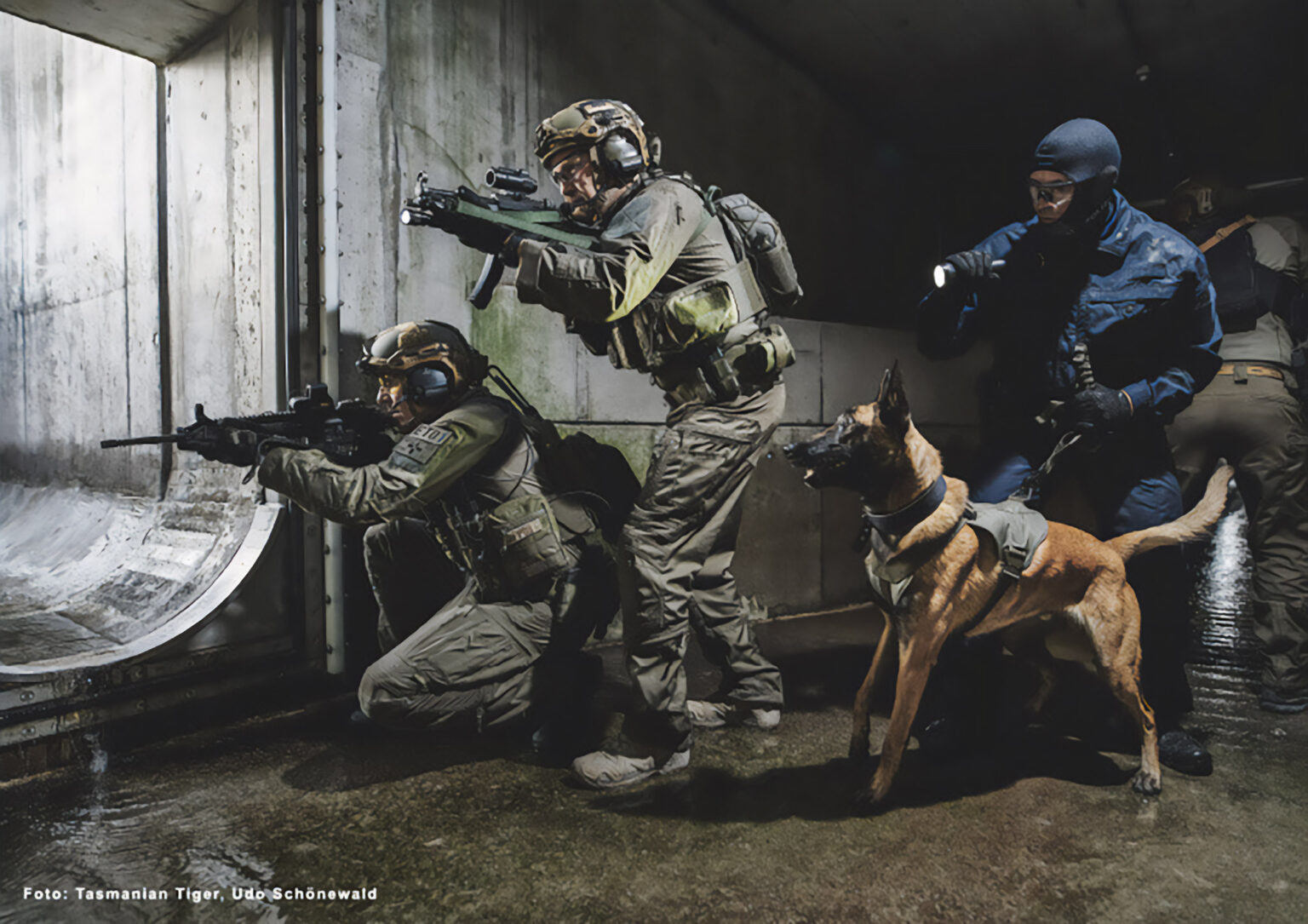 diensthunde-k9-ausbildung-oesterreich-teufels-hunde-5-neu