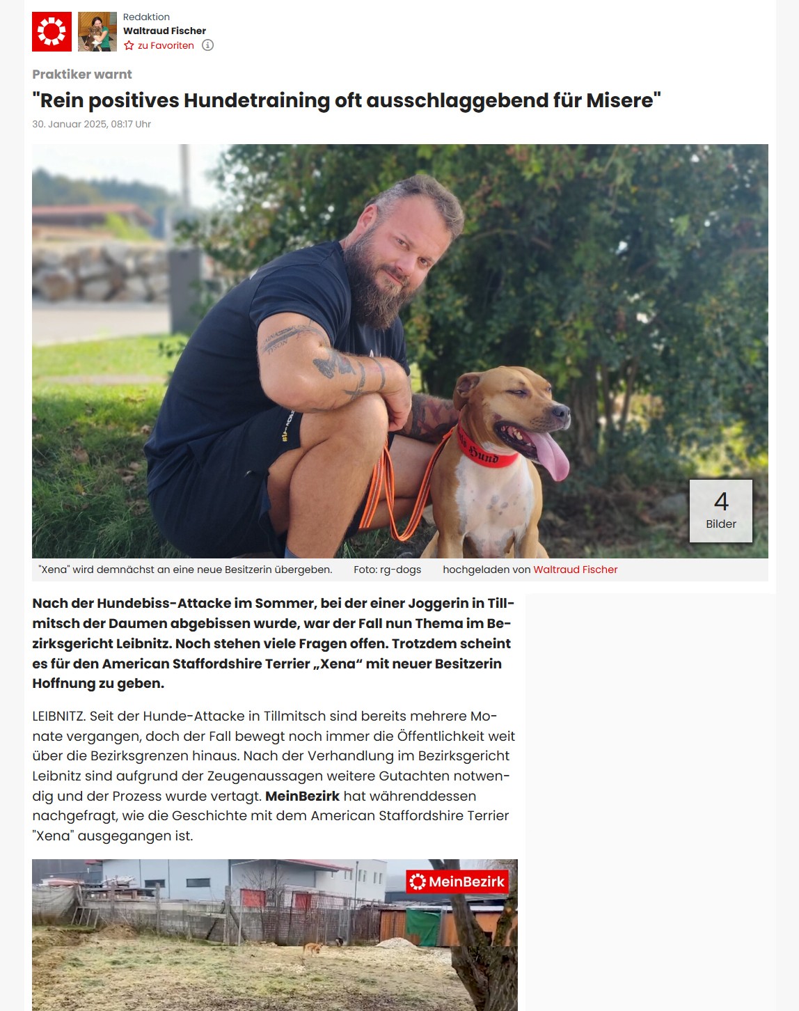 "Rein positives Hundetraining oft ausschlaggebend für Misere" - Artikel
